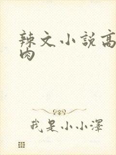 辣文小说高h纯肉封面