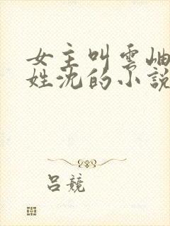 女主叫云岫男主姓沈的小说封面