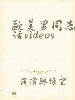 欧美男同志性生活videos