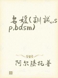 名媛(训诫,sp,bdsm)
