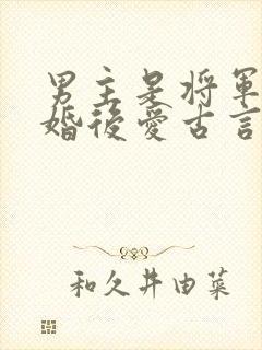 男主是将军的先婚后爱古言