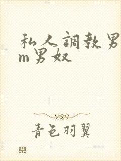 私人调教男性sm男奴封面