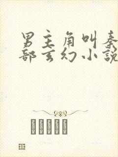 男主角叫秦风全部玄幻小说