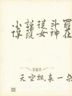 小说从斗罗开始俘获女神在线阅读