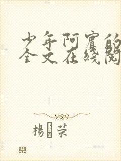 少年阿宾的故事全文在线阅读免费