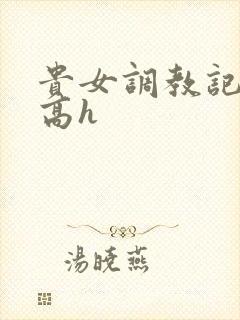 贵女调教记np高h