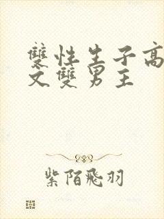 双性生子高辣h文双男主