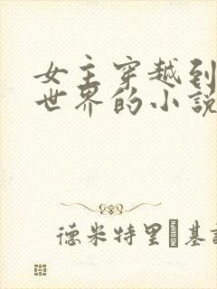 女主穿越到动漫世界的小说封面