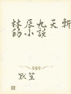 林辰九天斩神诀的小说封面