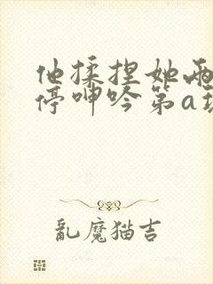 他揉捏她两乳不停呻吟第a玩封面