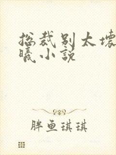 总裁别太坏夏紫曦小说