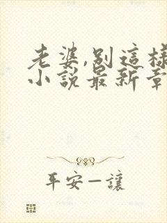 老婆,别这样 小说最新章节