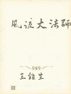 风流大法师封面