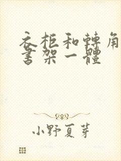 衣柜和转角书桌书架一体