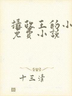 摄政王的小闲妻免费小说