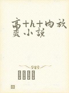 高+h+肉放荡爽小说