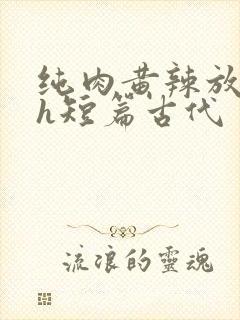 纯肉黄辣放荡高h短篇古代