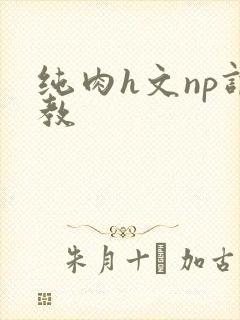 纯肉h文np调教封面