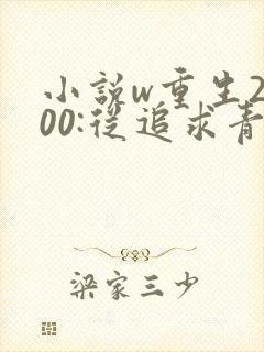 小说w重生2000:从追求青涩校花同桌开始,