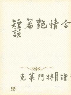 短篇艳情合集小说封面