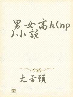 男女高h(np)小说