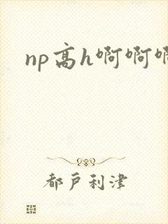 np高h啊啊啊封面