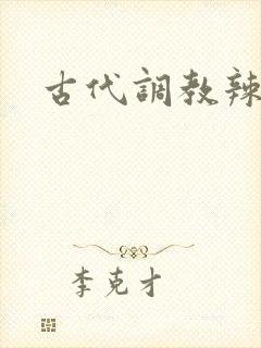 古代调教辣文