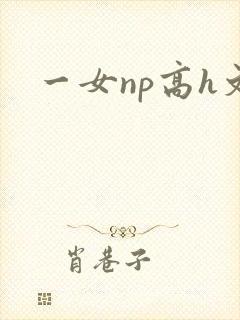 一女np高h文