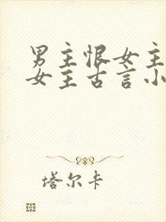 男主恨女主报复女主古言小说