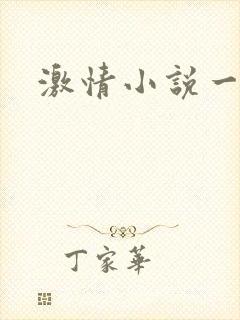 激情小说一区