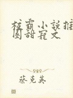 校霸小说推荐校园甜宠文