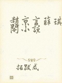 赵京言薛琪笔趣阁小说