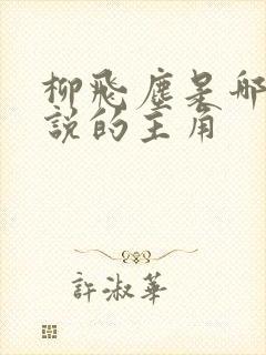 柳飞尘是哪部小说的主角