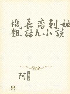 机长脔到她哭h粗话h小说封面