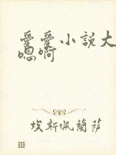 爱爱小说大尺度嗯啊封面