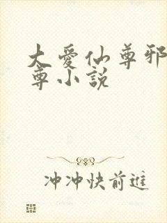 大爱仙尊邪银魔尊小说封面