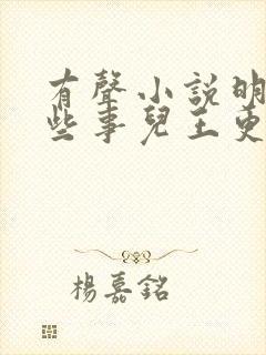 有声小说明朝那些事儿王更新