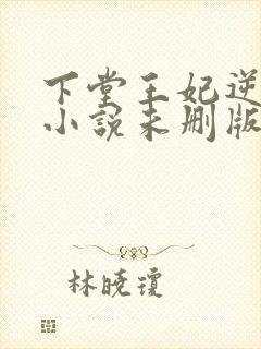 下堂王妃逆袭记小说未删版完整