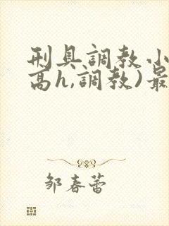 刑具调教小说(高h,调教)最新章节内容