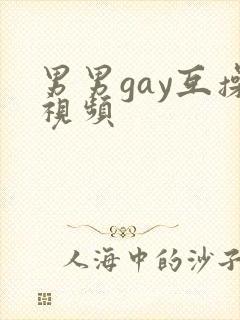 男男gay互操视频