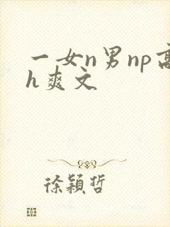 一女n男np高h爽文封面