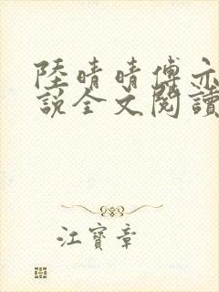 陆晴晴傅亦笙小说全文阅读