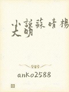 小说苏晴杨彬杨大明