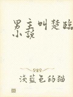 男主叫楚临渊的小说封面