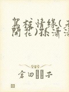 驾校情缘(老树开花)孙潇潇第一次趣笔阁