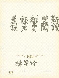 叶轻离裴靳墨小说免费阅读笔趣阁封面