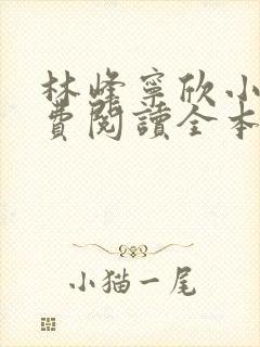 林峰宁欣小说免费阅读全本下载封面