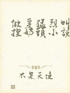 做爰猛烈叫床揉捏奶头小说