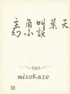 主角叫叶天的玄幻小说