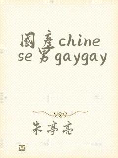 国产chinese男gaygay